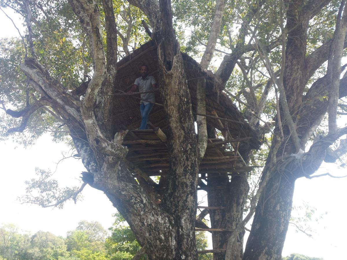Greenwood Udawalawa Safari Resort Udawalawe Luaran gambar
