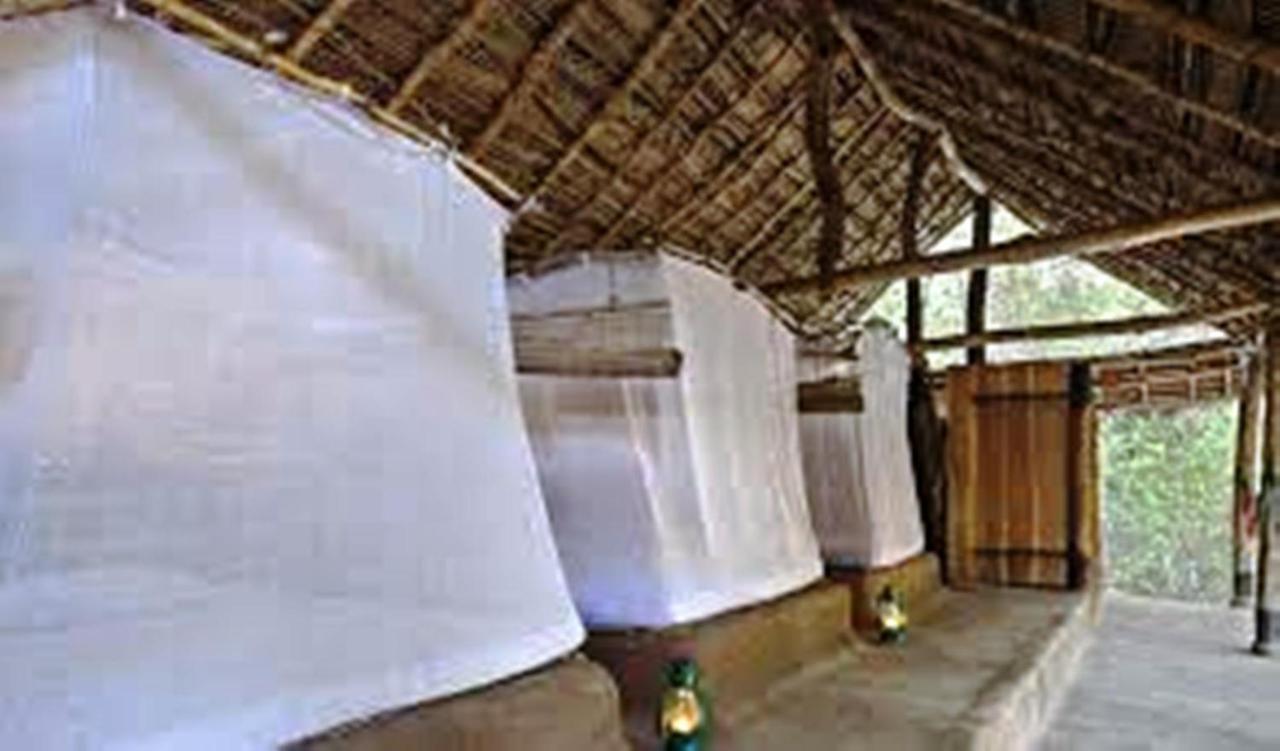 Greenwood Udawalawa Safari Resort Udawalawe Luaran gambar