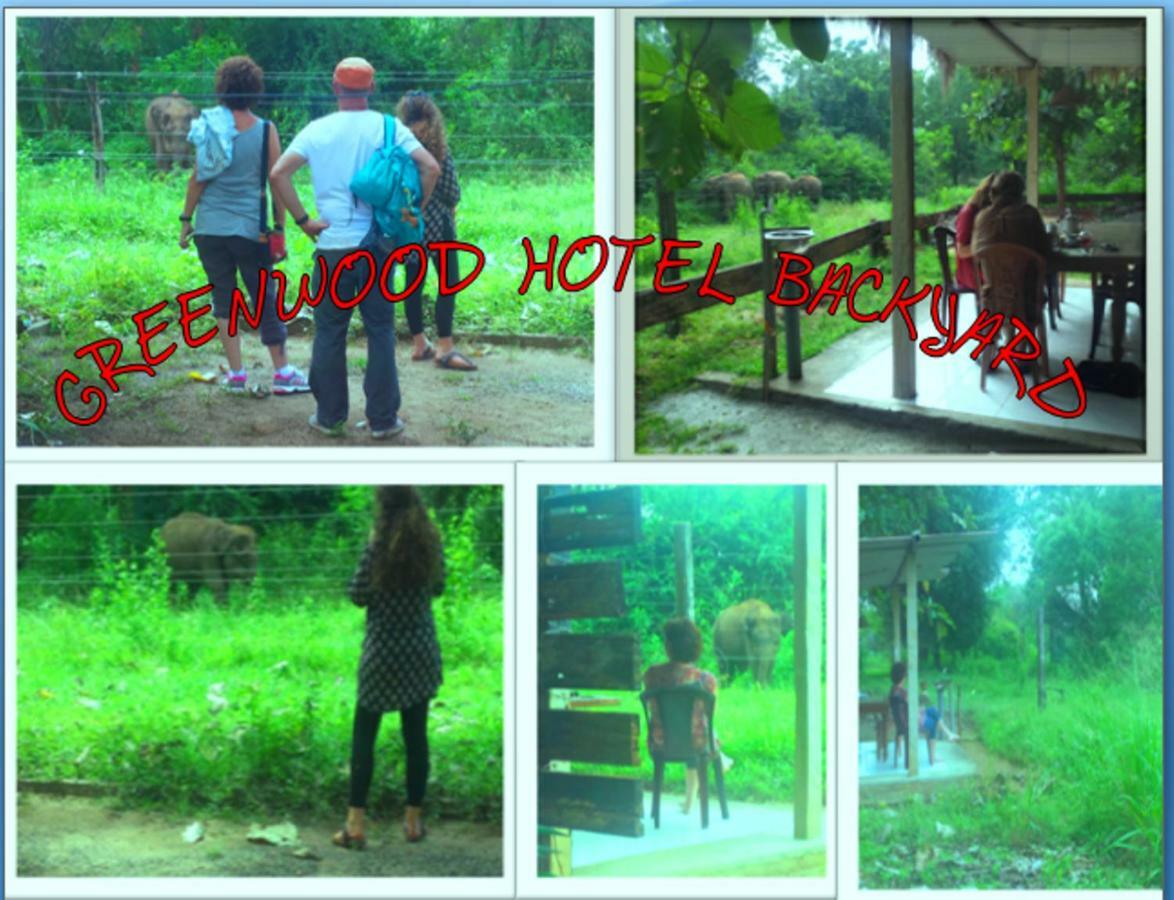 Greenwood Udawalawa Safari Resort Udawalawe Luaran gambar