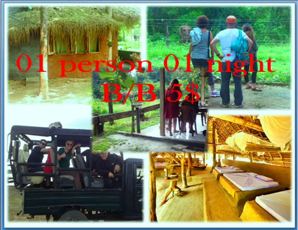 Greenwood Udawalawa Safari Resort Udawalawe Luaran gambar
